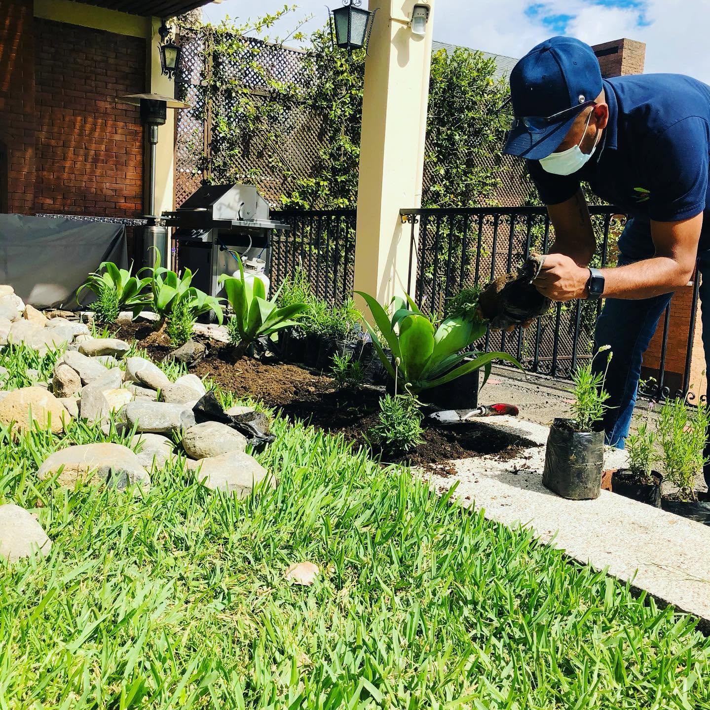 Jardinero plantando en un jardín residencial